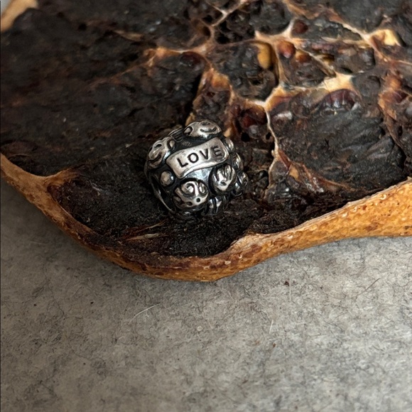 PANDORA Love & Family Charm Authentic Sterling Silver Smiling Faces Engraved - Picture 3 of 14